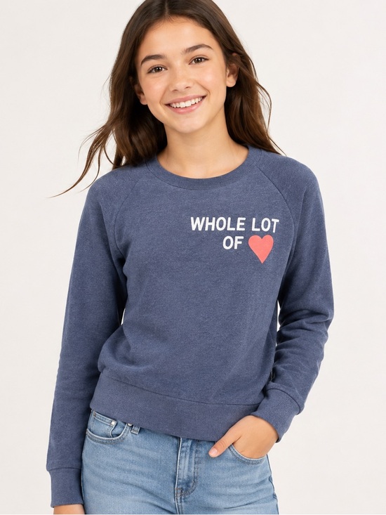 Crewcuts Other - 3/$25 Crewcuts Blue 'Whole Lot of' Heart Crewneck Sweatshirt Sz 14